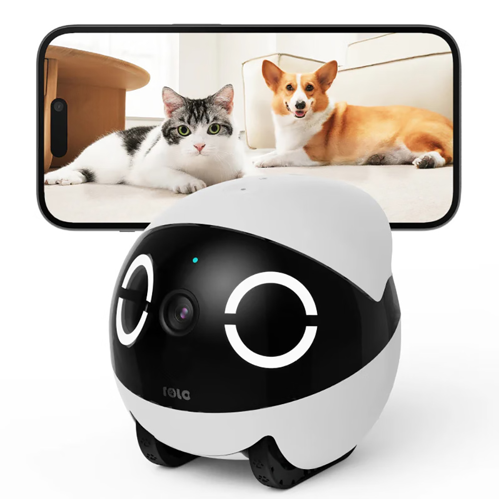 Home Security Pet Tumbler Desi - огляд і ціна Home Security Robot