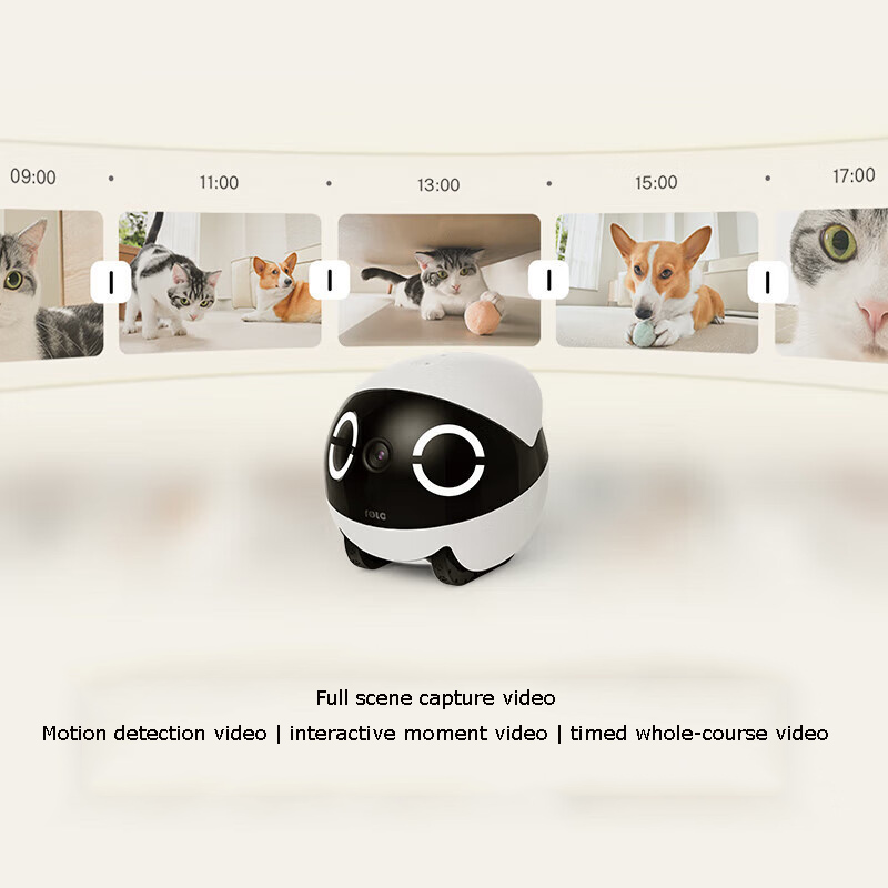 Home Security Pet Tumbler Desi - огляд і ціна Home Security Robot