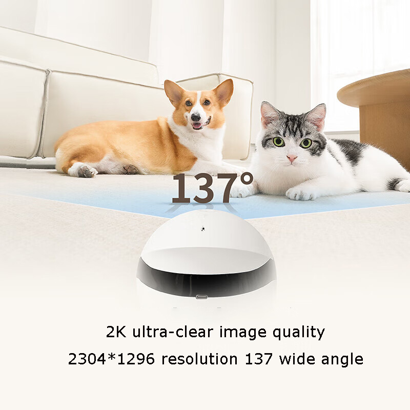 Home Security Pet Tumbler Desi - огляд і ціна Home Security Robot